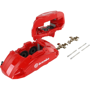 Printed Chiffon Dress