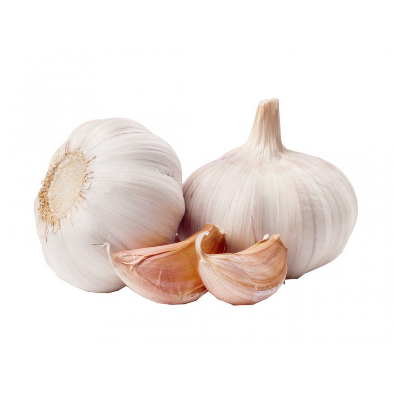 T-shirt délavé à manches courtes