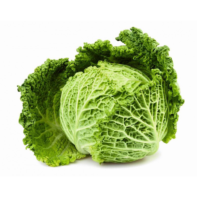 Printed Summer Dress