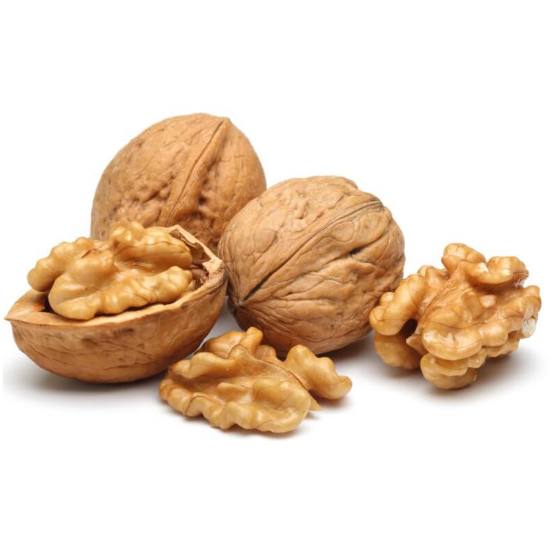 Printed Summer Dress