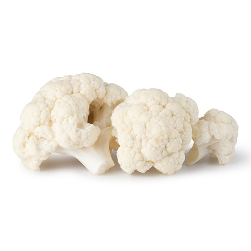 Printed Chiffon Dress