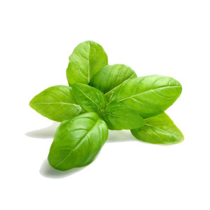 Robe en mousseline imprimée