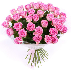 Printed Summer Dress