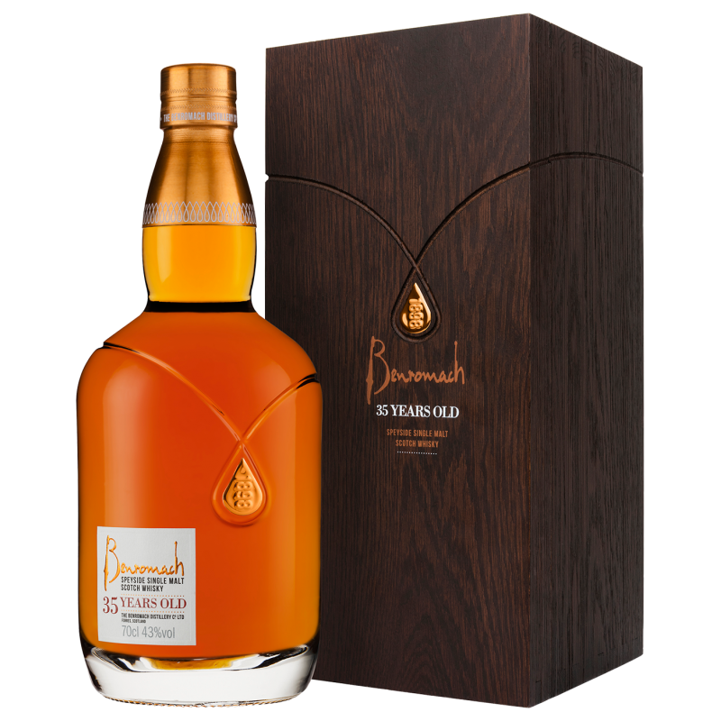 Brown bear - Vector graphics