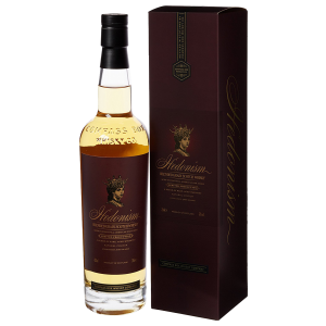 Brown bear - Vector graphics